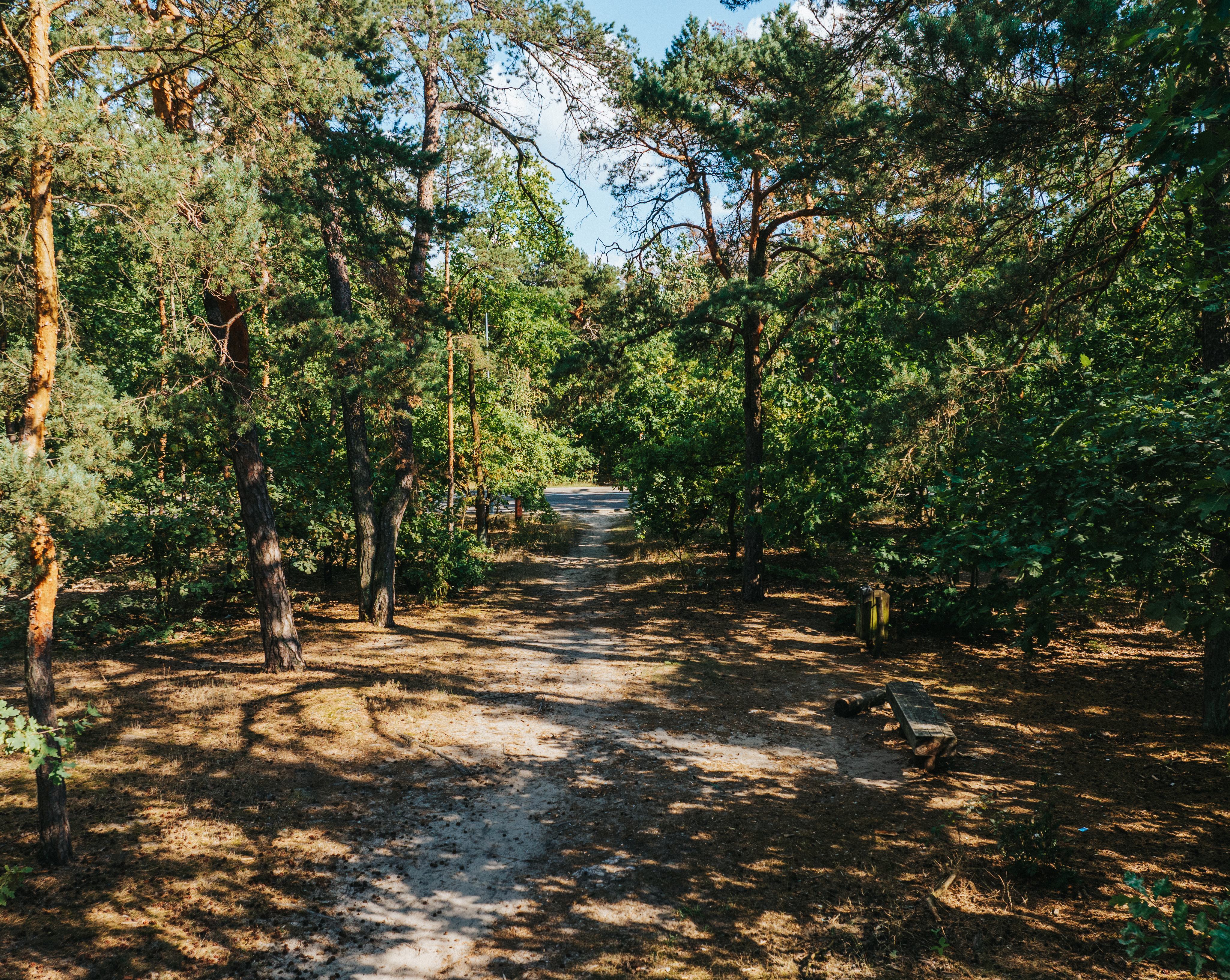 Zdjęcie 17