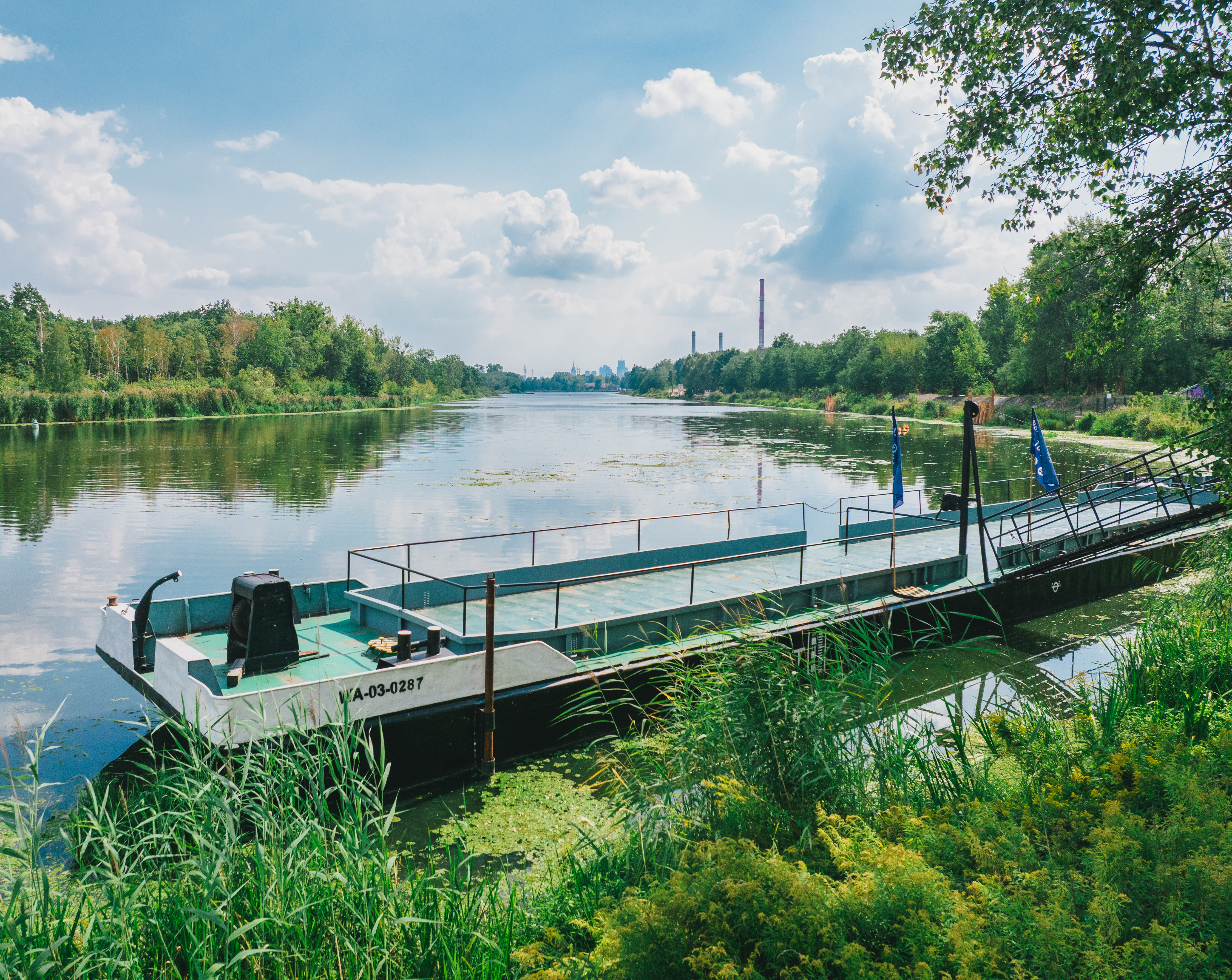 Zdjęcie 19
