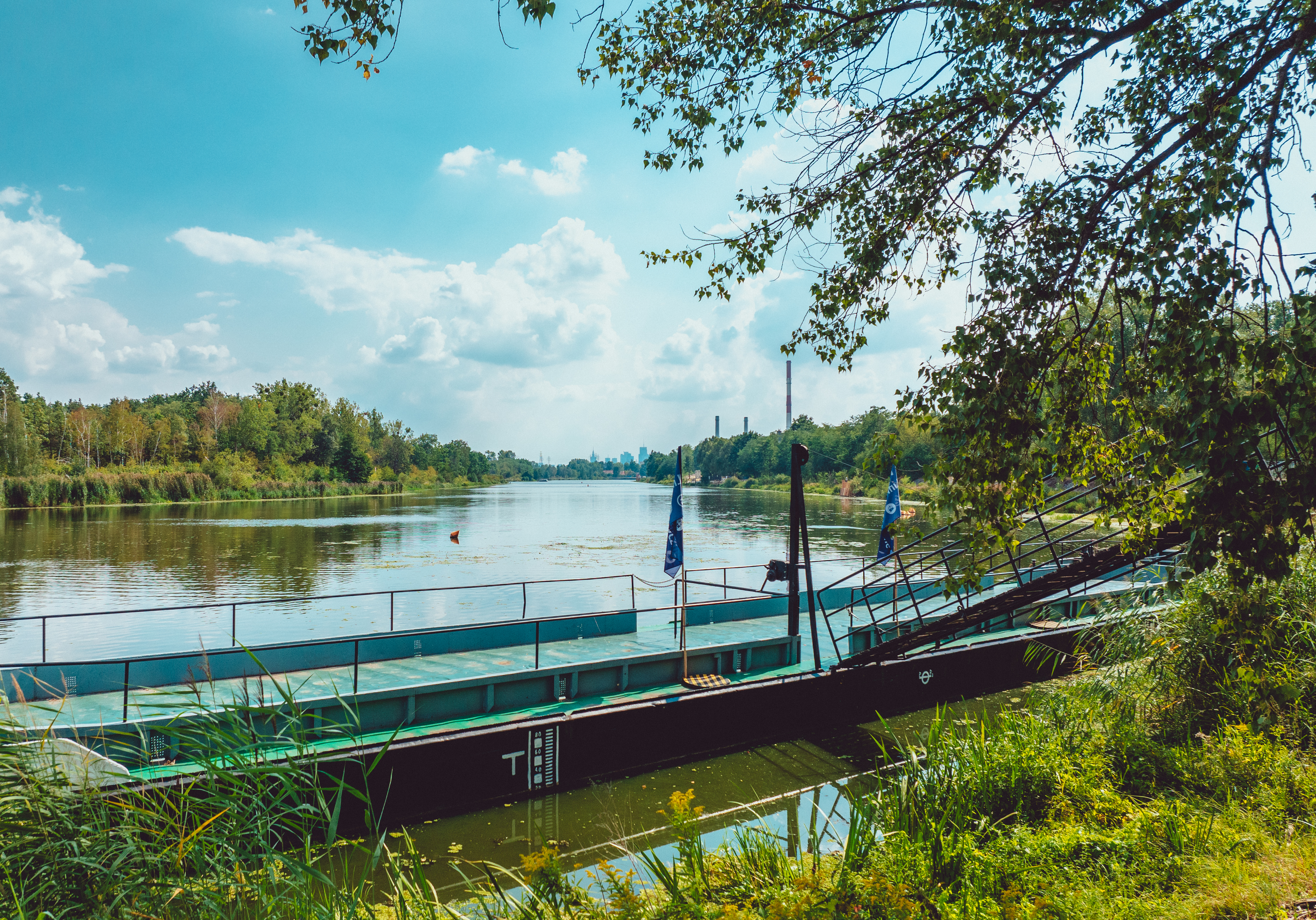 Zdjęcie 23
